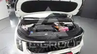 2024 KIA Carnival