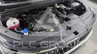 2024 KIA Carnival