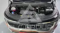 2024 KIA Carnival