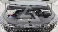 2024 KIA Carnival