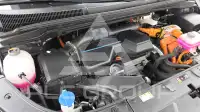 2024 KIA Carnival