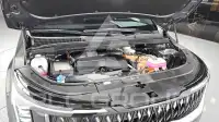2024 KIA Carnival