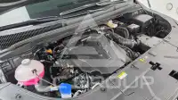 2024 KIA Carnival