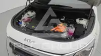 2024 KIA Niro