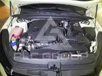 2024 KIA K5