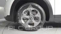 2024 KIA Celltos