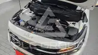 2024 KIA Celltos