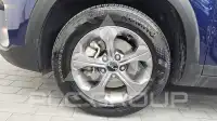 2024 KIA Celltos