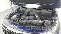 2024 KIA Celltos