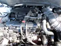 2024 KIA Celltos
