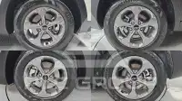 2024 KIA Celltos