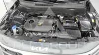 2024 KIA Celltos