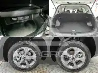 2024 KIA Celltos