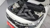 2024 KIA Celltos