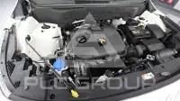 2024 KIA Celltos