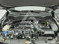2024 KIA Celltos