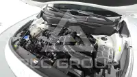 2024 KIA Celltos