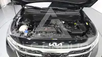 2024 KIA Celltos