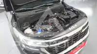 2024 KIA Celltos