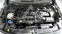 2024 KIA Celltos