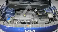 2024 KIA Celltos
