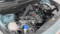 2024 KIA Celltos
