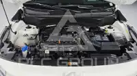 2024 KIA Celltos