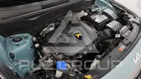 2024 KIA Celltos