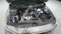2024 Hyundai Avante