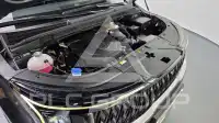 2024 KIA Carnival