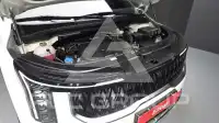 2024 KIA Carnival