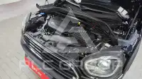2024 Mini Cooper