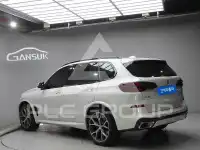 2025 BMW X5M