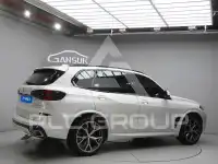 2025 BMW X5M