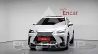 2025 Lexus NX