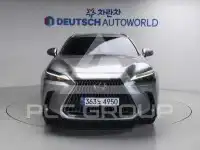 2025 Lexus NX