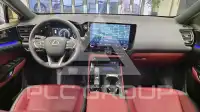 2025 Lexus NX