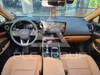 2025 Lexus NX