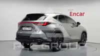 2025 Lexus NX