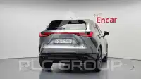 2025 Lexus NX