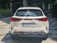 2025 Lexus NX