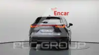 2025 Lexus NX