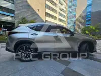 2025 Lexus NX