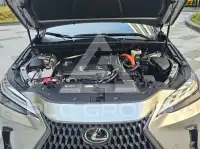 2025 Lexus NX