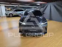 2025 Lexus NX