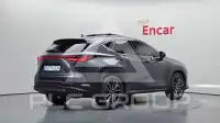 2025 Lexus NX