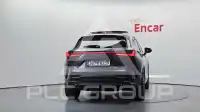 2025 Lexus NX