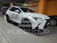 2025 Lexus NX