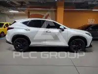 2025 Lexus NX