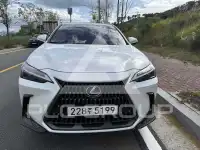 2025 Lexus NX